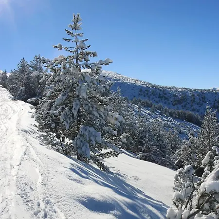 Apartmán Alpine Chalet Nirvana