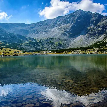 Alpine Chalet Nirvana * Borovec