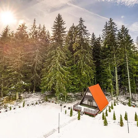 Alpine Chalet Nirvana * Borovec