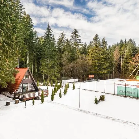 Alpine Chalet Nirvana